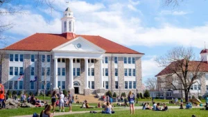university